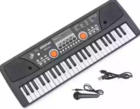 BESTON 49 Keys Piano Keyboard with Microphone, USB Power Cable & Sound Recording Function Analog Portable Keyboard  (49 Keys)